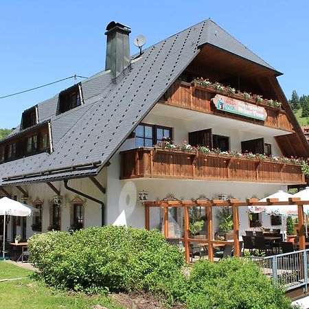 Hotel & Restaurant Gruener Baum - Die Gruene Oase Am Feldberg Feldberg  Dış mekan fotoğraf