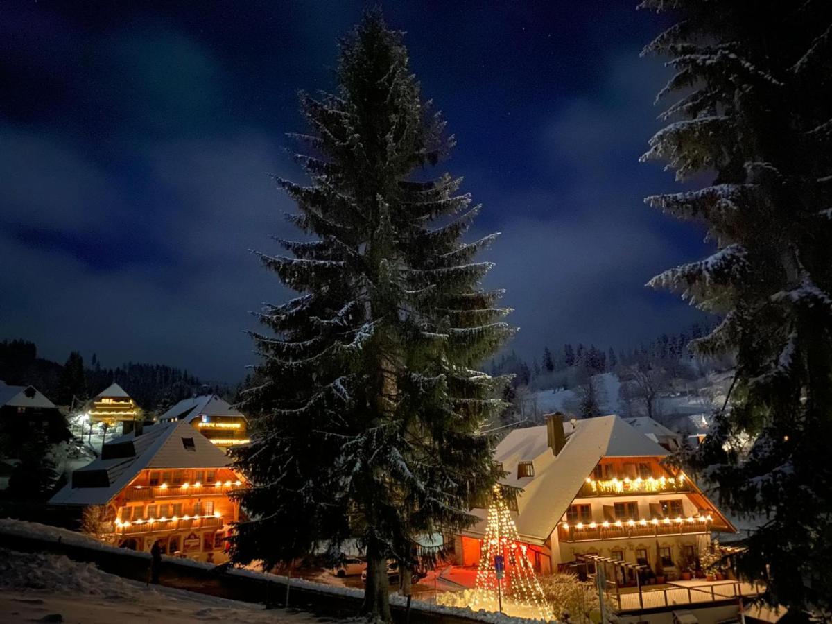 Hotel & Restaurant Gruener Baum - Die Gruene Oase Am Feldberg Feldberg  Dış mekan fotoğraf